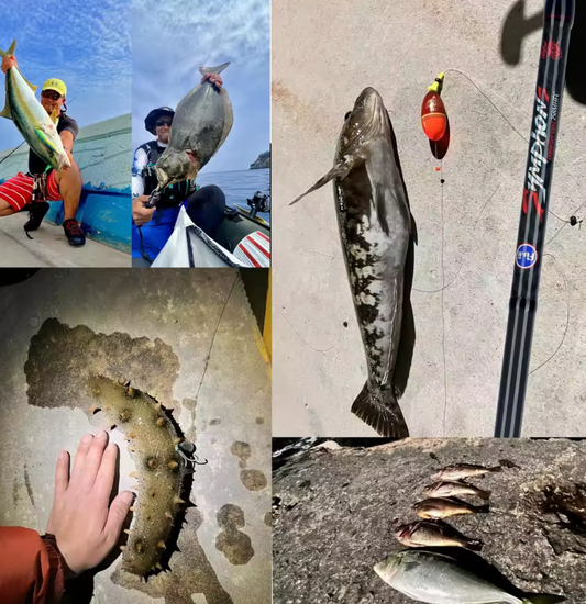 Caña de Pescar BIUTIFU PHISHGER Fast – Carbono para Viajeros 2.1 m (7–30 g)